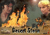 Desert Storm